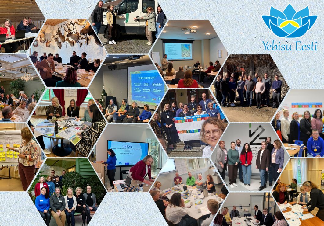 Yebisu 2025 kokkuvõte